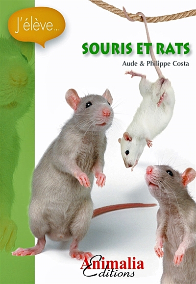 Promo La Maison Des souris chez Jouet E.Leclerc