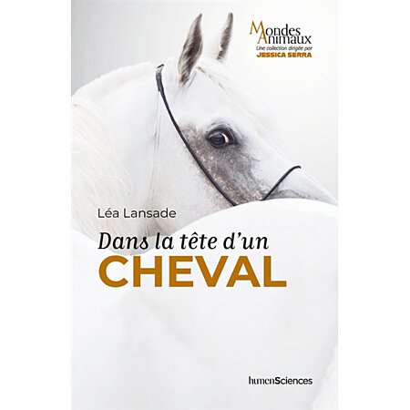 Lampe Cheval, Fer & Tête de Cheval