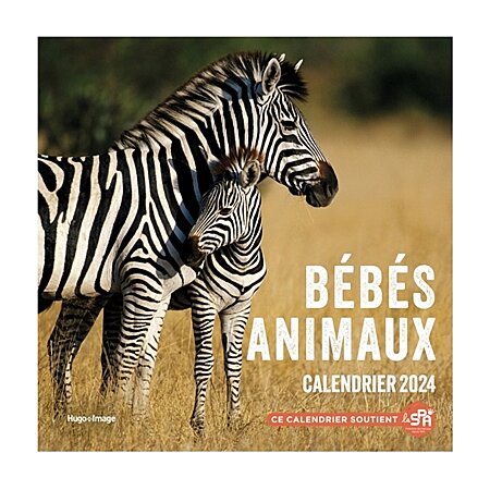 Calendrier 2024 Bebes animaux