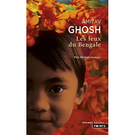 Les Feux du Bengale: 9782020533102: Ghosh, Amitav, Besse, Christiane: Books  