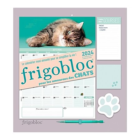 Frigobloc spécial chat 2022: le calendrier maxi-aimanté pour se