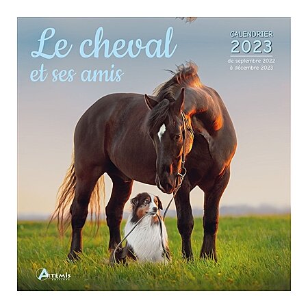  Chevaux - Calendrier 2023: 9782809919431: Collectif: Books