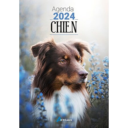 Chien - agenda 2024 (Broché) au meilleur prix