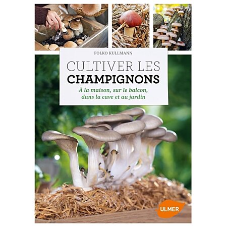 Trousses de culture pour faire pousser des champignons - Du jardin dans ma  vie