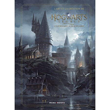 Hogwarts Legacy : L'Héritage de Poudlard - La salle commune de