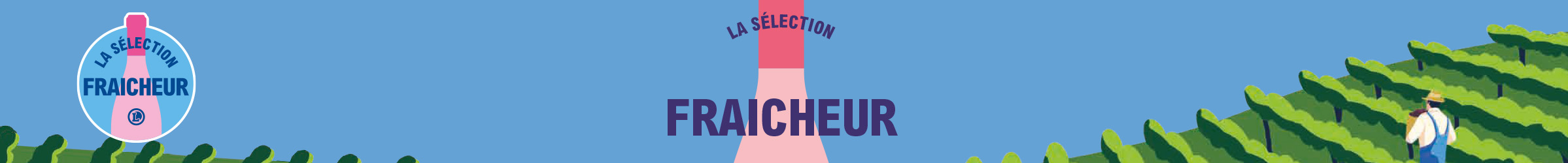 Découvrez notre sélection de vins fraîcheur 