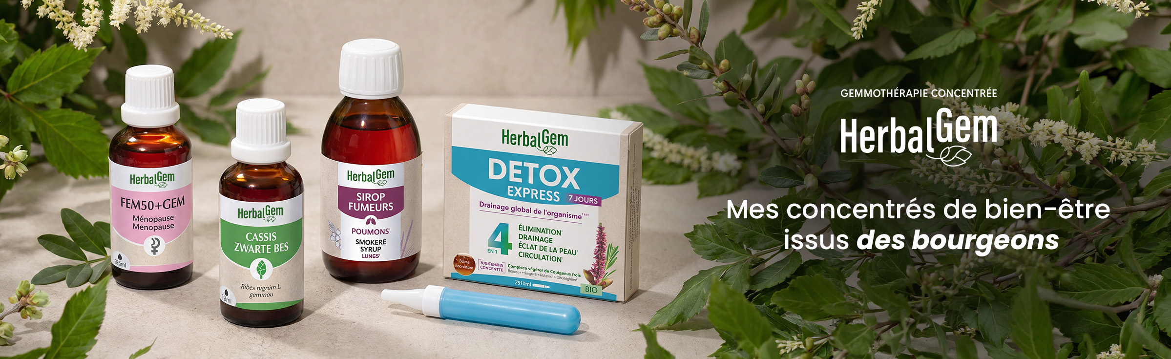 Bannière publicitaire pour la marque HerbalGem, spécialiste de la « Gemmothérapie concentrée ». L'image présente une sélection de quatre produits de soin naturels : le complexe FEM50+GEM (Ménopause), le macérat de Cassis, le Sirop des Fumeurs pour les poumons, et la boîte Detox Express 7 jours (Drainage global de l'organisme). Les flacons et l'étui sont disposés sur un fond beige, entourés de branches vertes feuillues et de fleurs blanches. À droite, le slogan affiche : « Mes concentrés de bien-être issus des bourgeons ».
