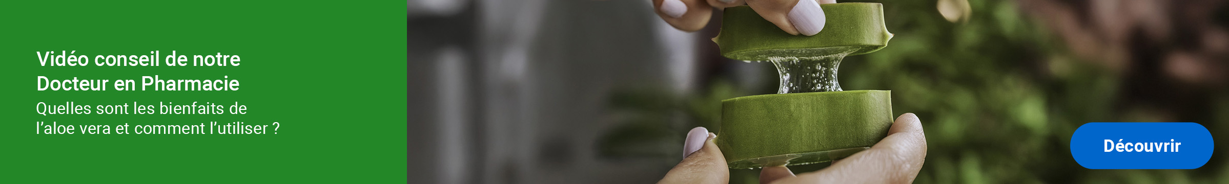 quels sont les bienfaits de l'aloe vera et comment l'utiliser?