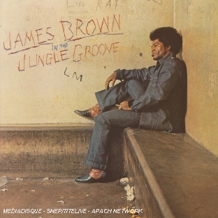 In the jungle groove