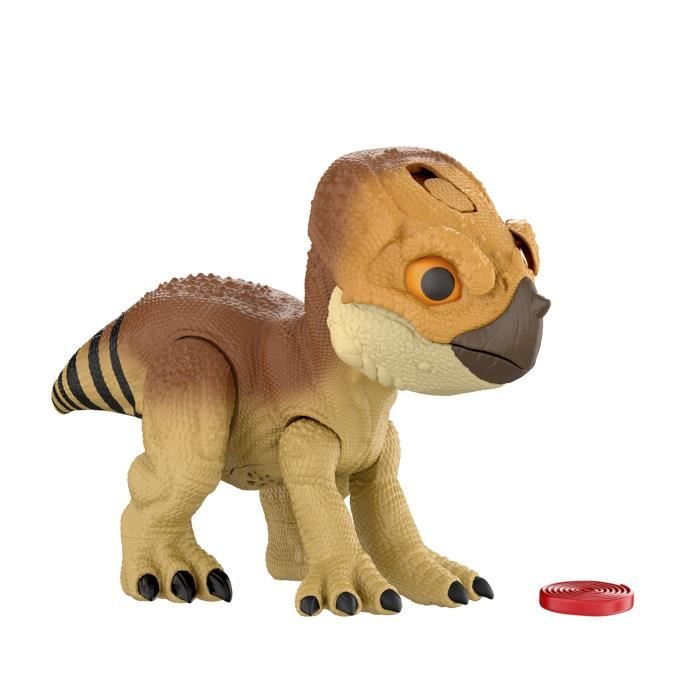 Jurassic World Figurine Aquilops à apprivoiser Dinosaure interactif Jurassic World JGC01