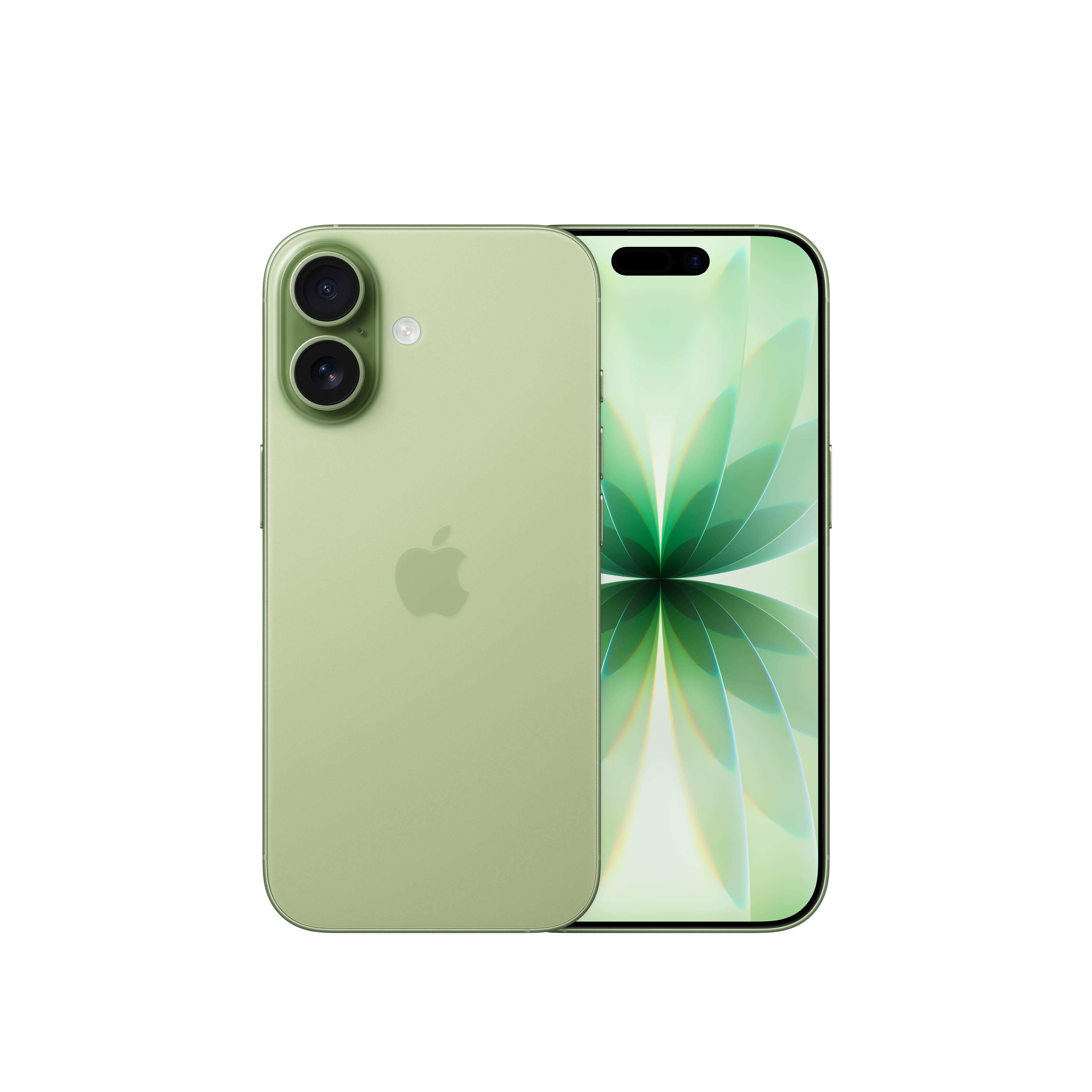 Apple iPhone 17 16 cm (6.3") Double SIM iOS 26 5G USB Type-C 512 Go Sauge product image