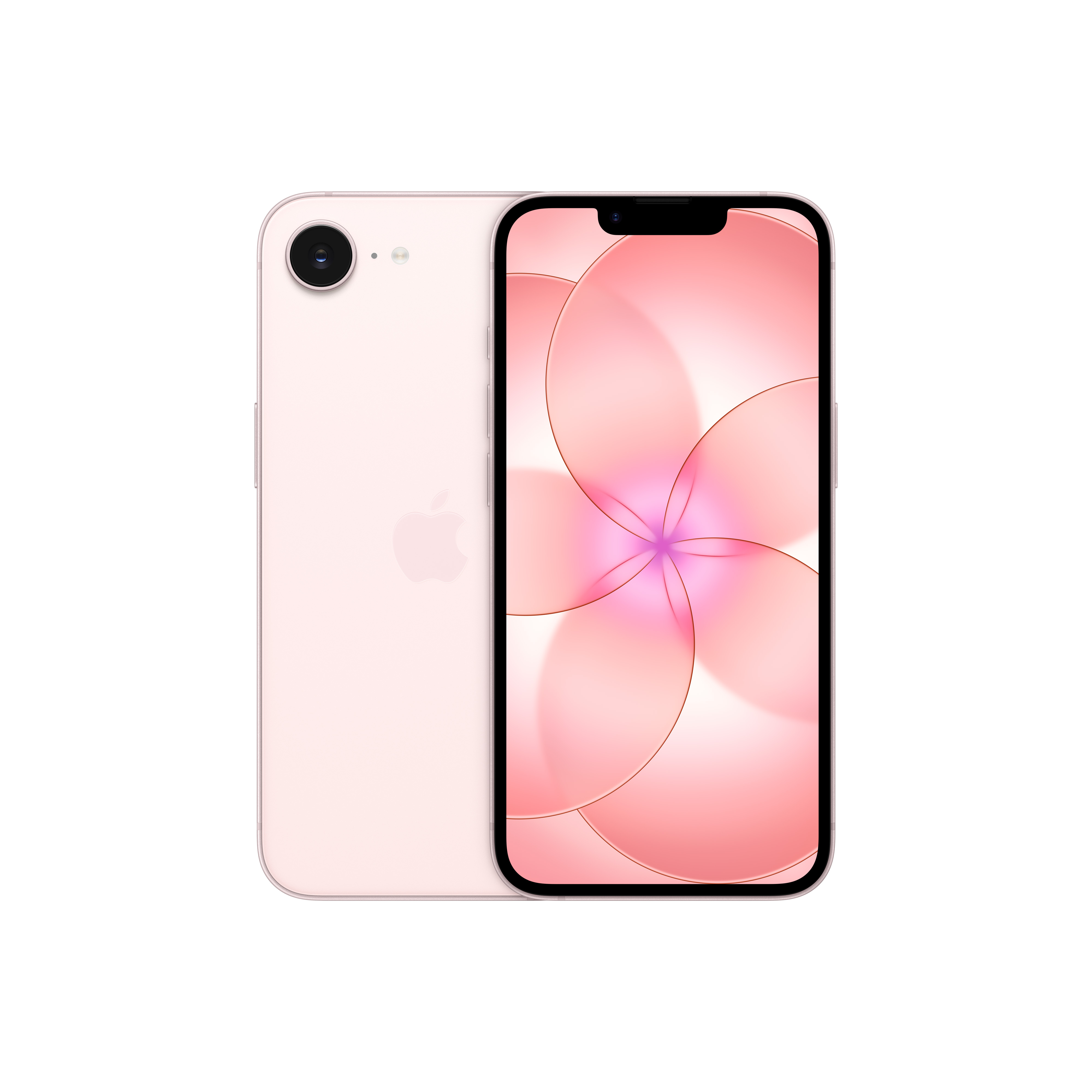 Apple iPhone 17e 15,5 cm (6.1") Double SIM iOS 26 5G USB Type-C 256 Go Rose clair product image