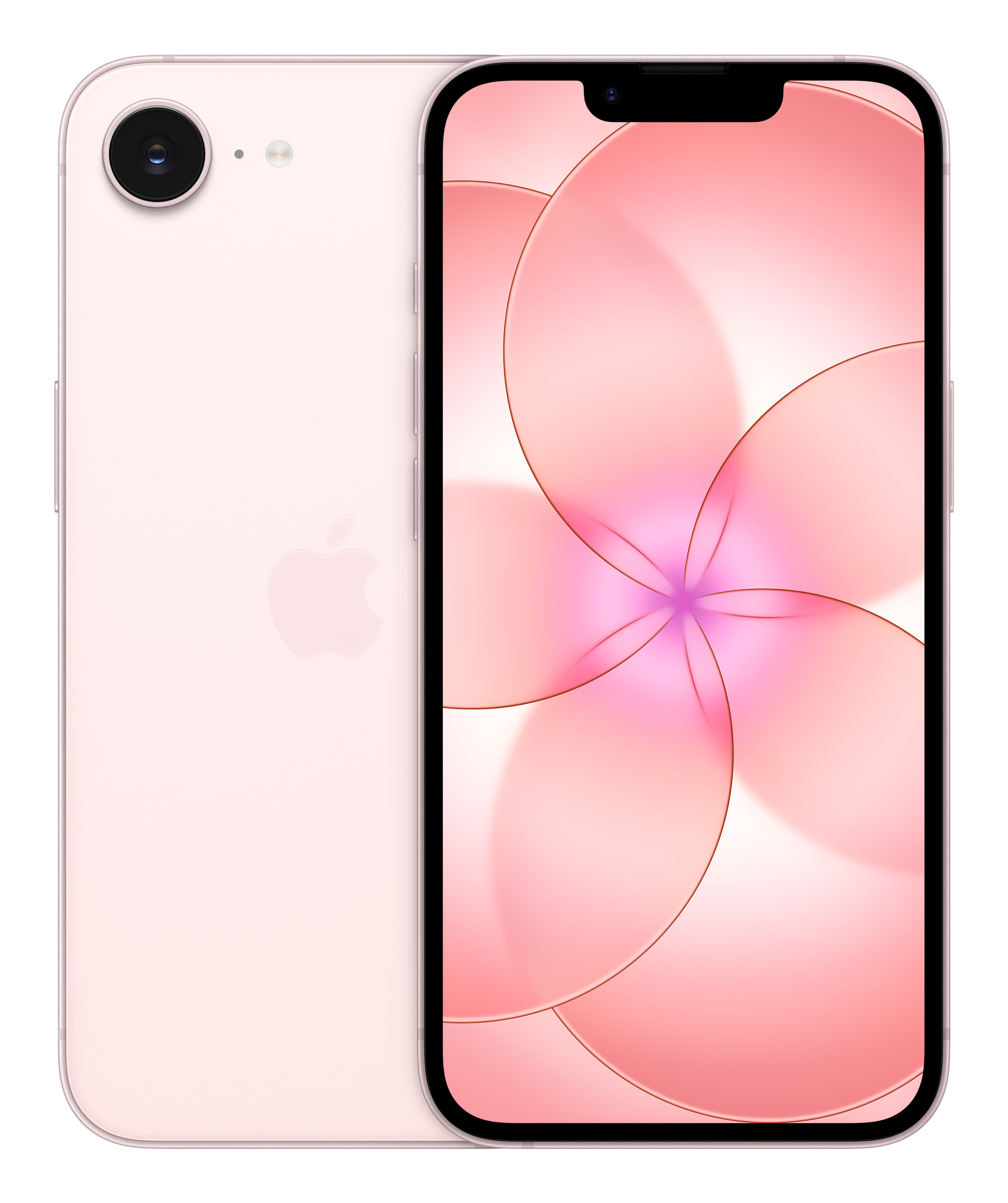 Apple iPhone 17e 15,5 cm (6.1") Double SIM iOS 26 5G USB Type-C 512 Go Rose clair product image