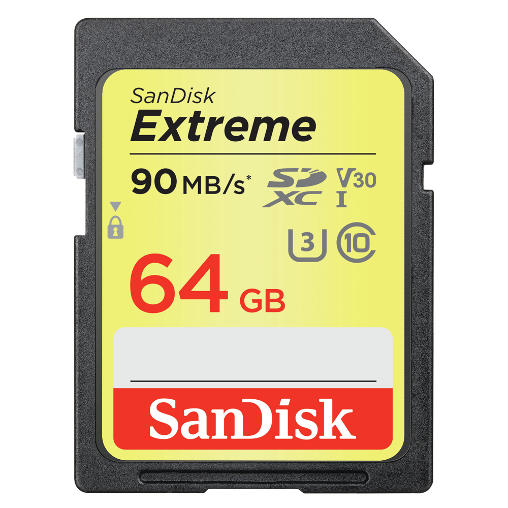 Carte mémoire Sandisk Sdsdxve-064 g-gncin