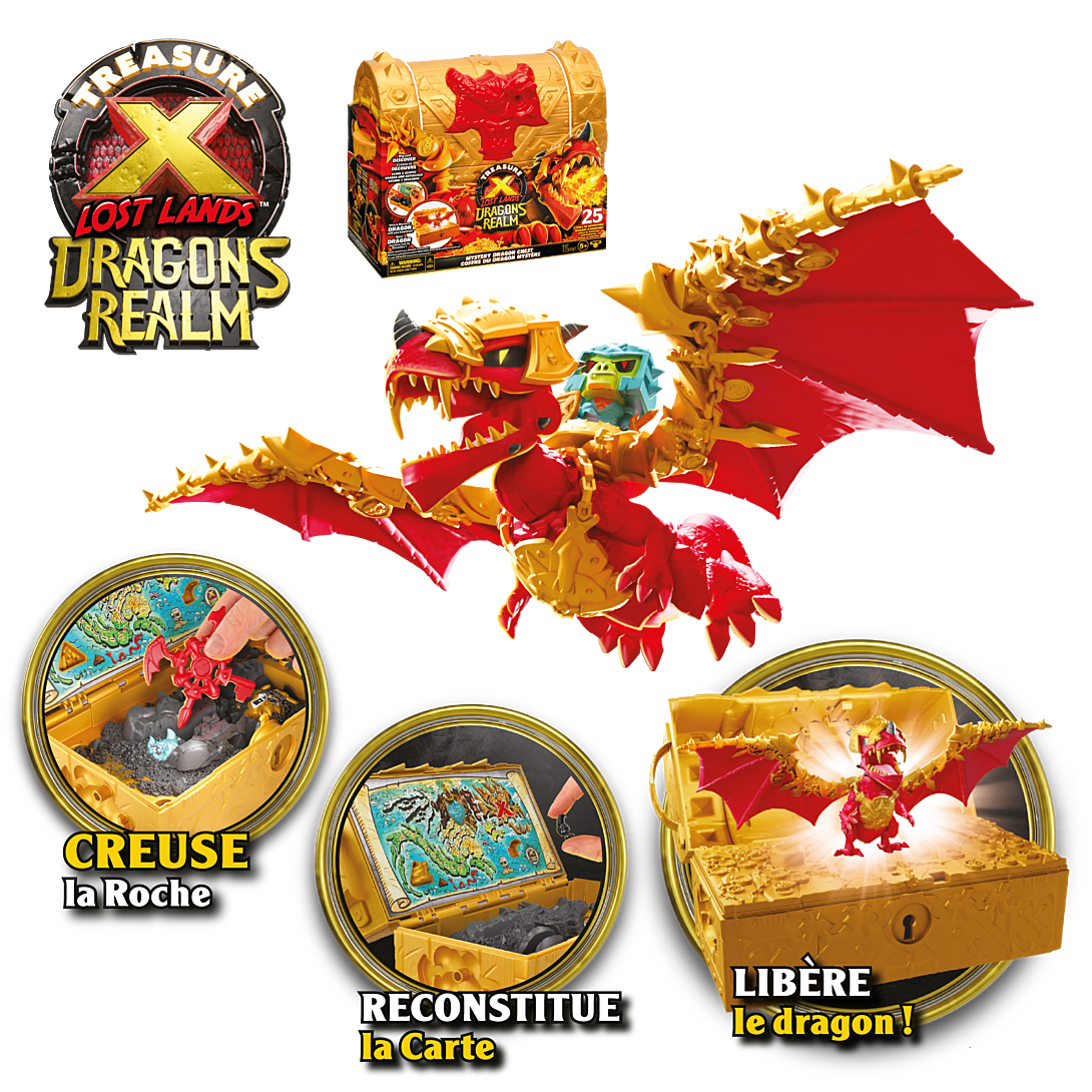 COFFRE AUX TRÉSORS DRAGONS REALM TRESOR X