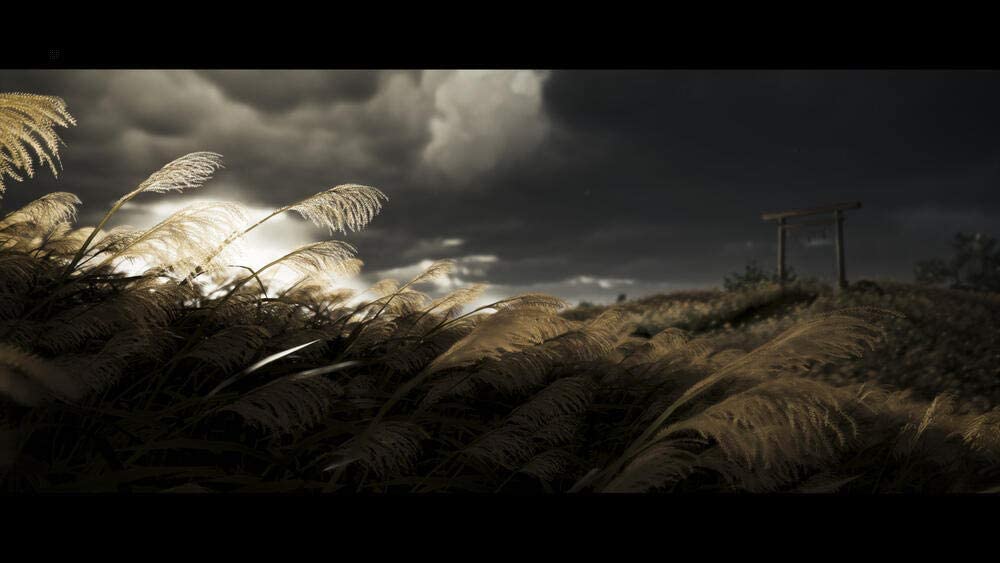 Ghost Of Tsushima Director's Cut - Director's Cut (PS5)