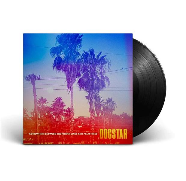 Somewhere Between The Power Lines and Palm Trees