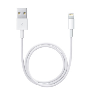 Cable de charge Apple Câble Lightning vers USB (0,5 m) ME291ZM/A