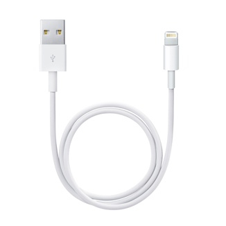 Cable de charge Apple Câble Lightning vers USB (0,5 m) ME291ZM/A