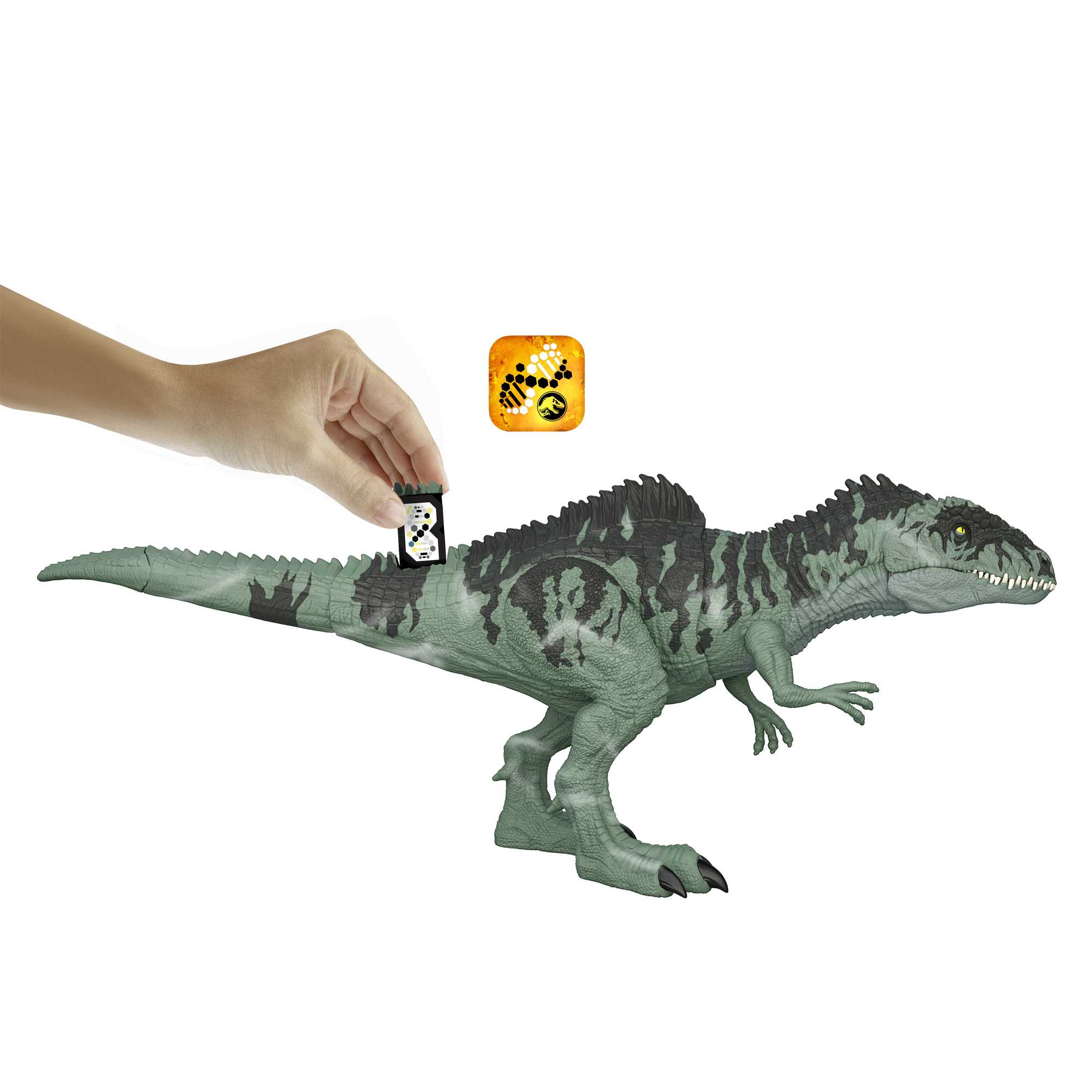 Mattel Jurassic World Majungasaurus Rugissement Féroce - Figurine Dinosaure Avec Attaque Morsure Et Son, Compatible Application, HTK76