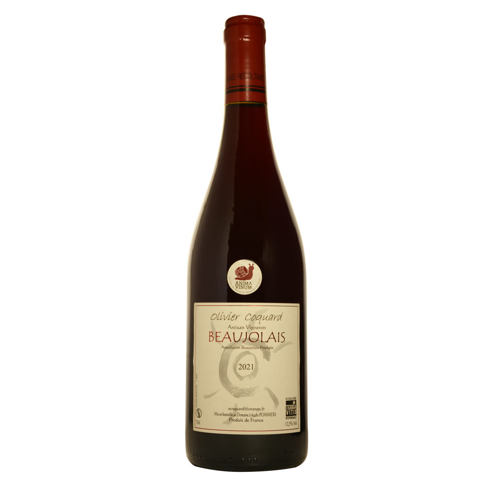 Olivier Coquard, 2021 - Beaujolais AOP - Rouge - 75 cl