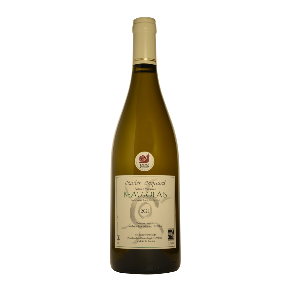 Olivier Coquard, 2021 - Beaujolais AOP - Blanc Sec - 75 cl