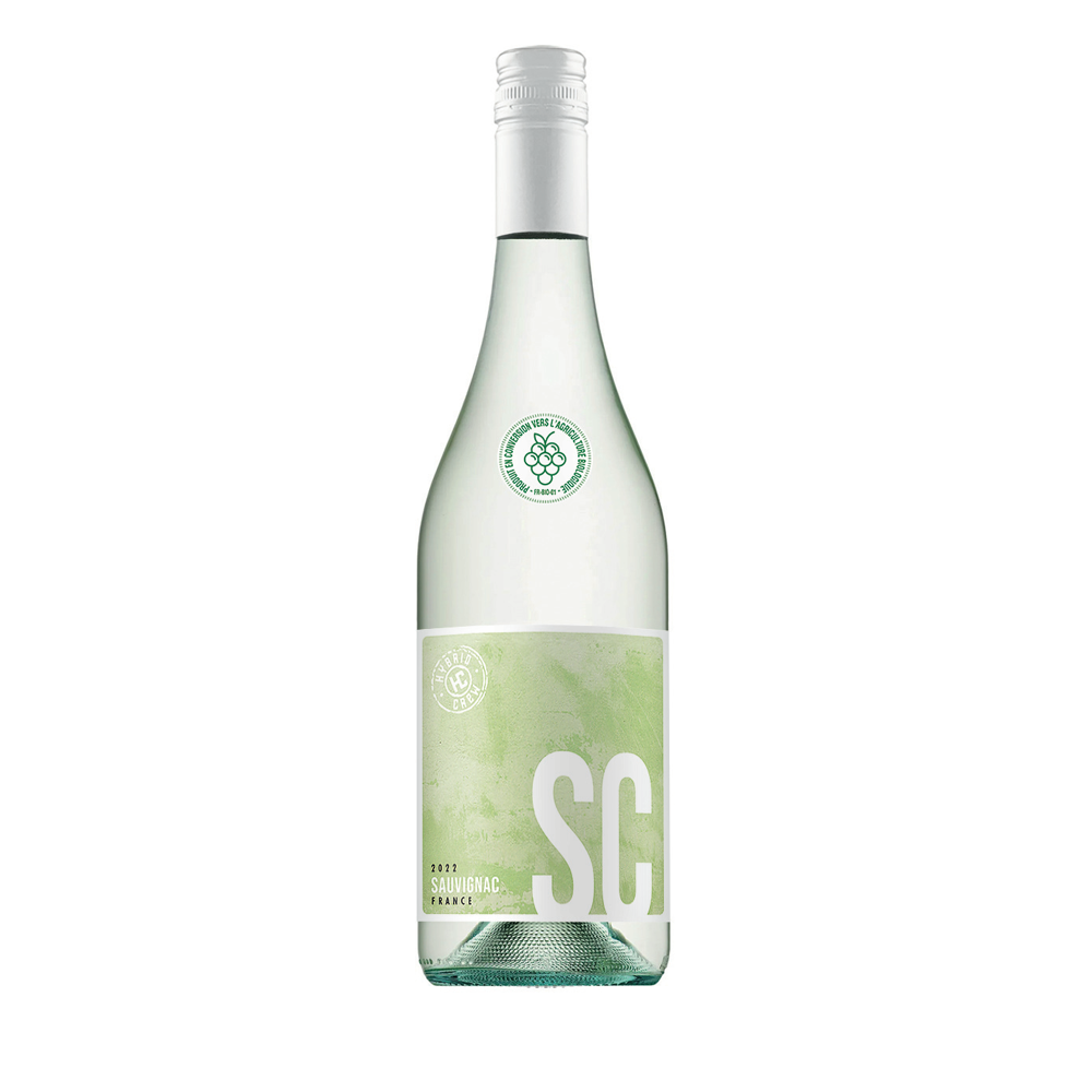 Sauvignac Singulier par nature !, 2022 - Vin de France - Blanc Sec - 75 cl