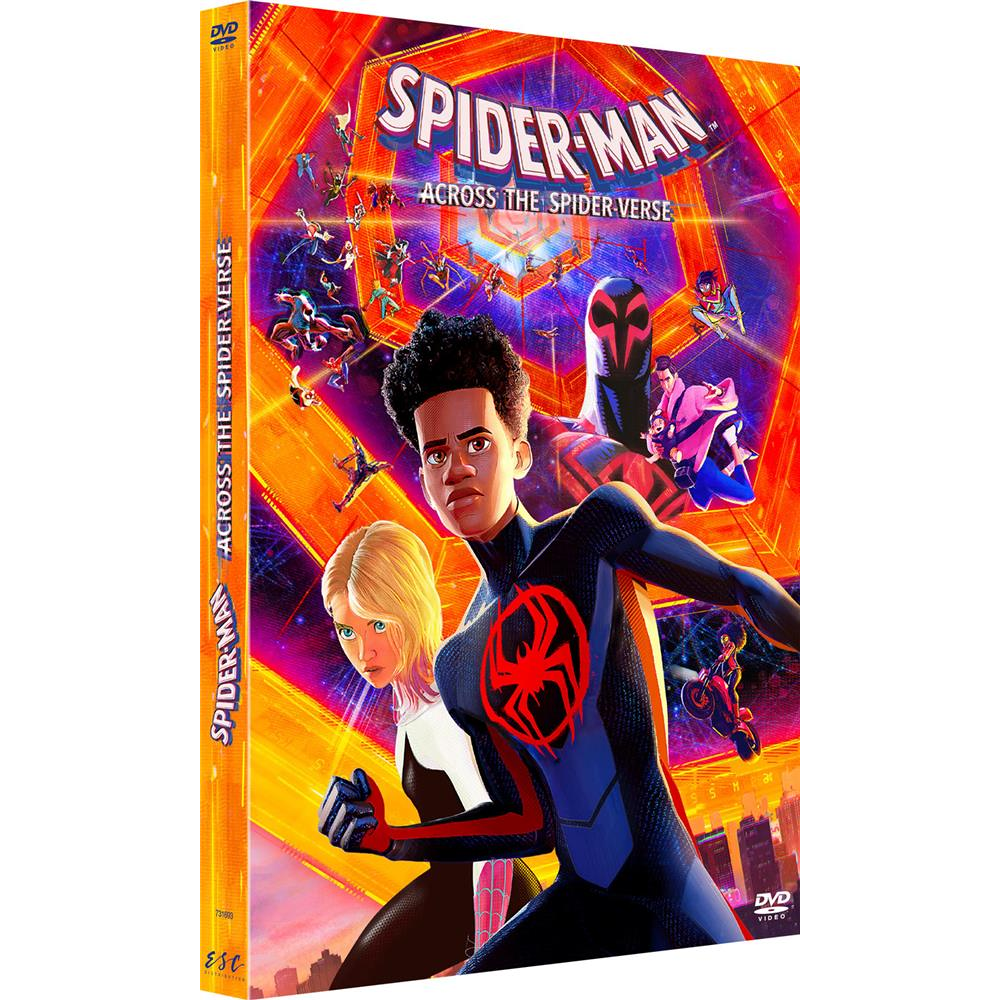 Spider-Man : Across the Spider-Verse