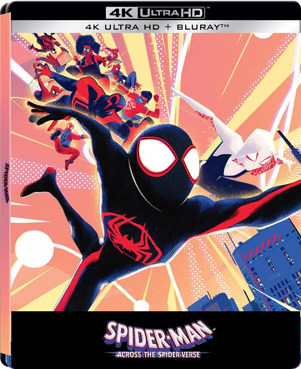 Spider-Man : Across the Spider-Verse