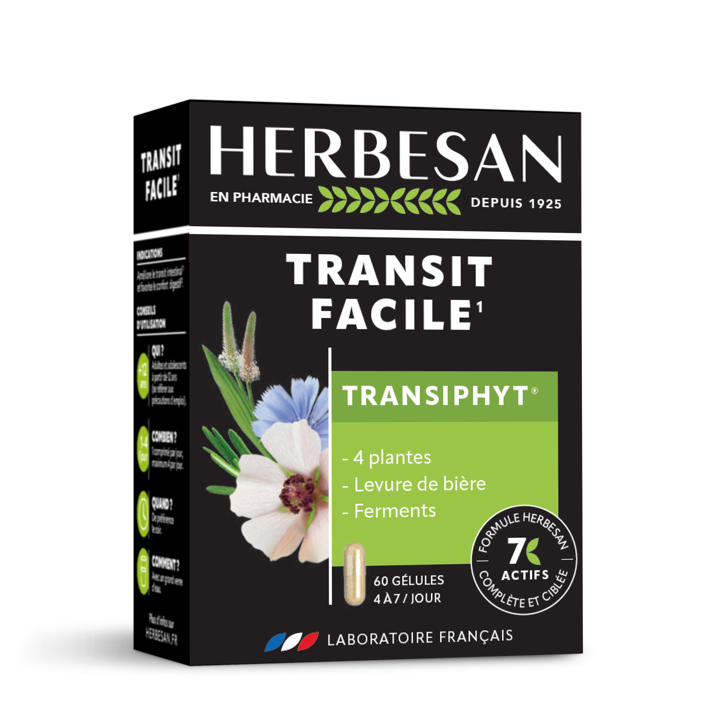 Hebesan Transiphyt - 60 Gélules