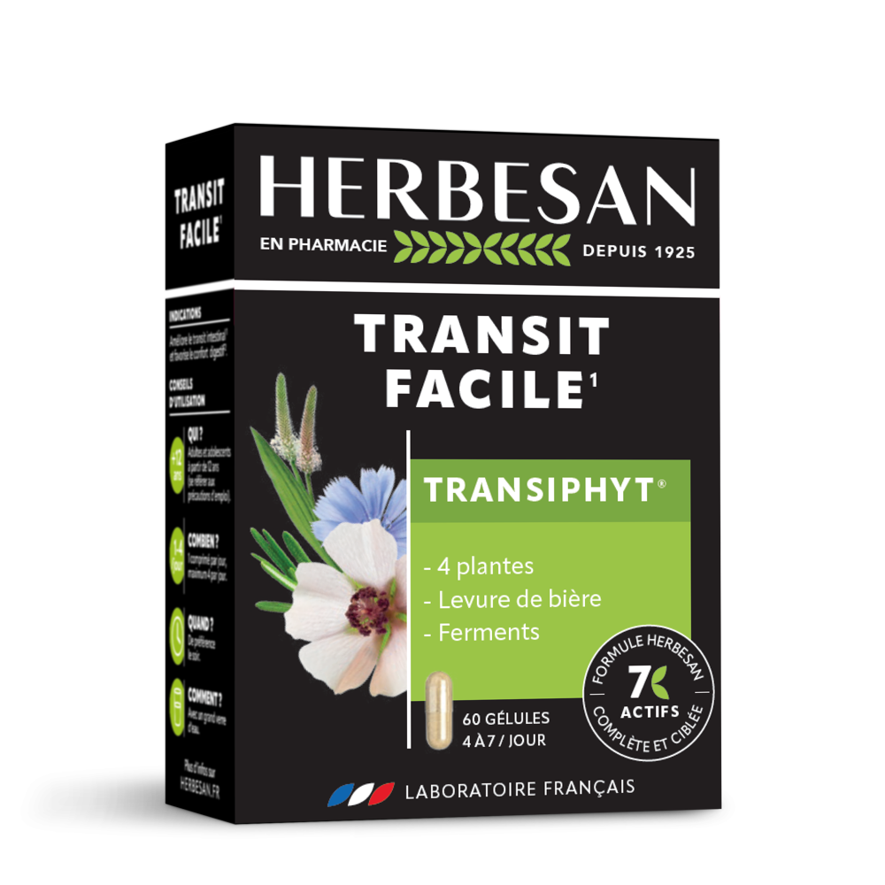 Hebesan Transiphyt - 60 Gélules
