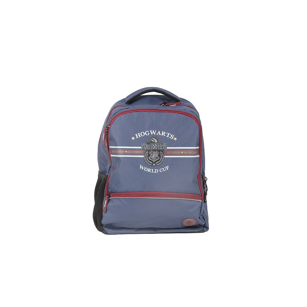 SAC 2C. HARRY POTTER