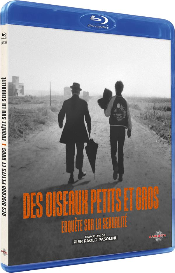 Des oiseaux petits et grands + Enquête sur la sexualité