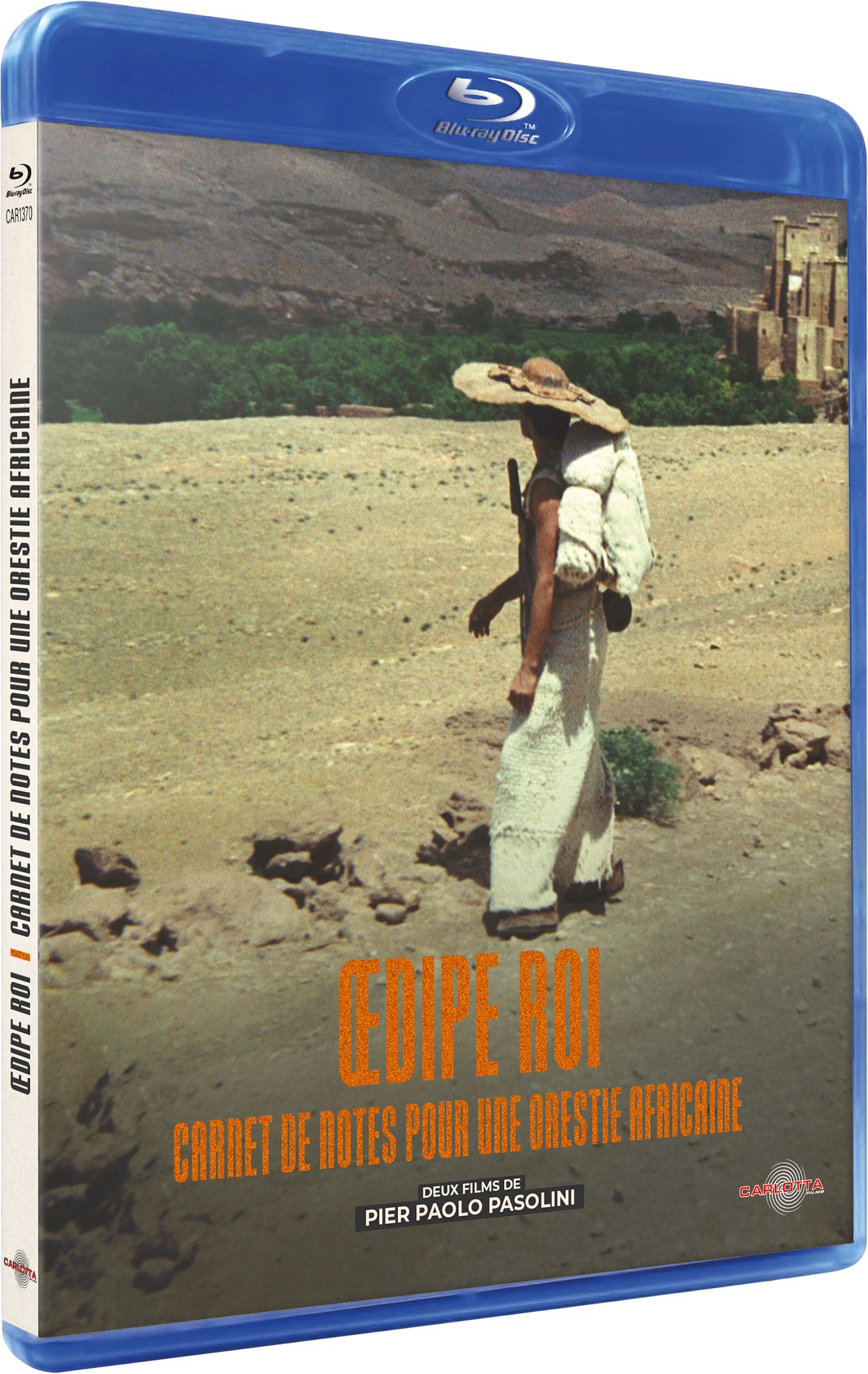 Oedipe roi + Carnet de notes pour une orestie africaine