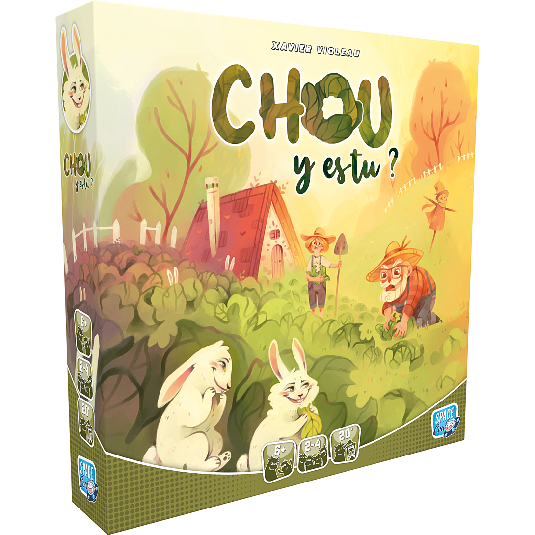 Chou y es tu ? Asmodee - vue 2