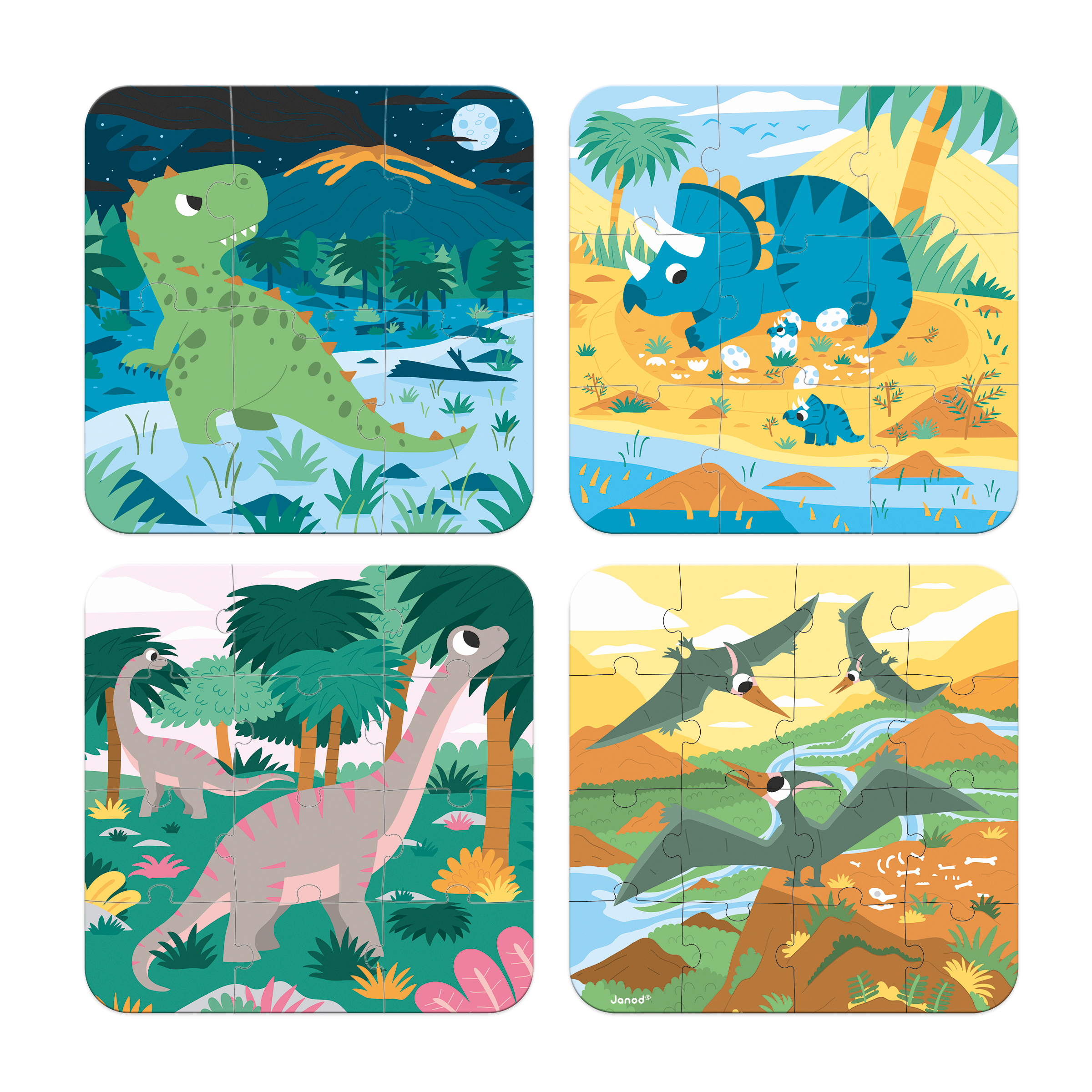 4 PUZZLES CARTON EVOLUTIFS DINOSAUR