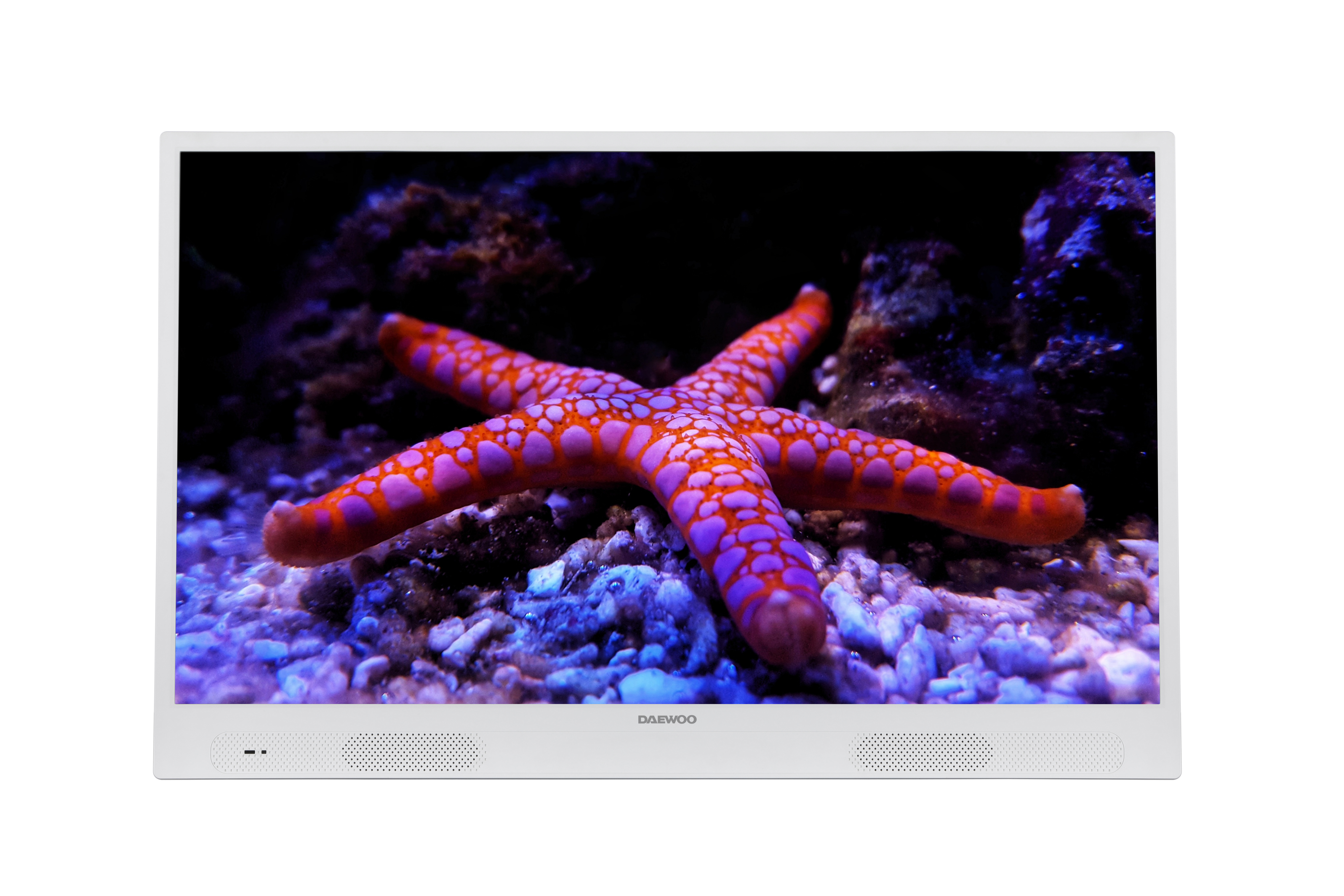 DAEWOO TV LCD 80 cm 32DMA23FW batterie 3h