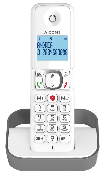 Alcatel F860 Téléphone DECT Identification de l'appelant Gris