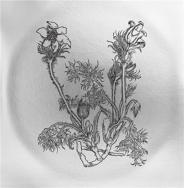 Fresques Sur Les Parois Secrètes Du Crâne