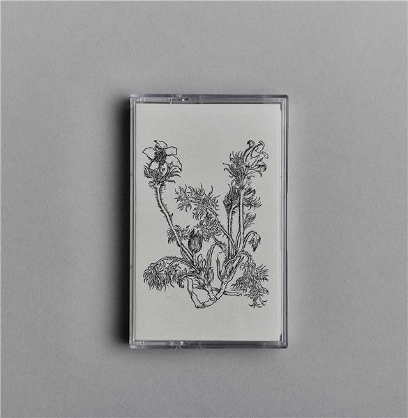 Fresques Sur Les Parois Secrètes Du Crâne