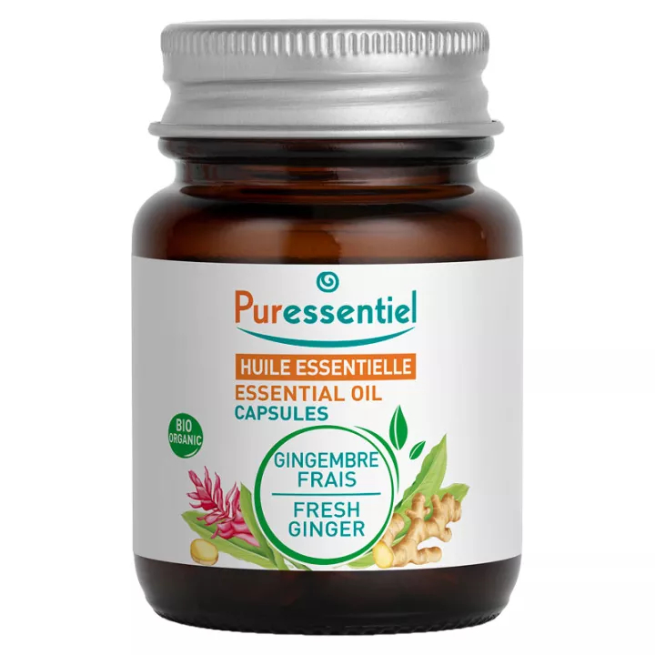 Capsules de Gingembre x60