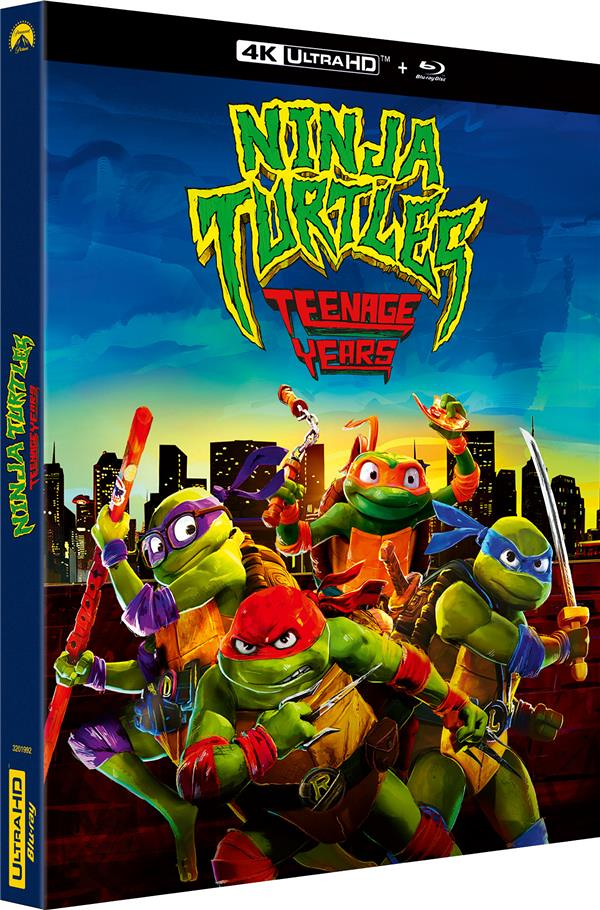 Ninja Turtles : Teenage Years