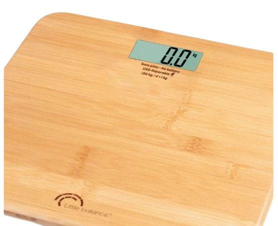 PESE PERSONNE My bamboo USB R