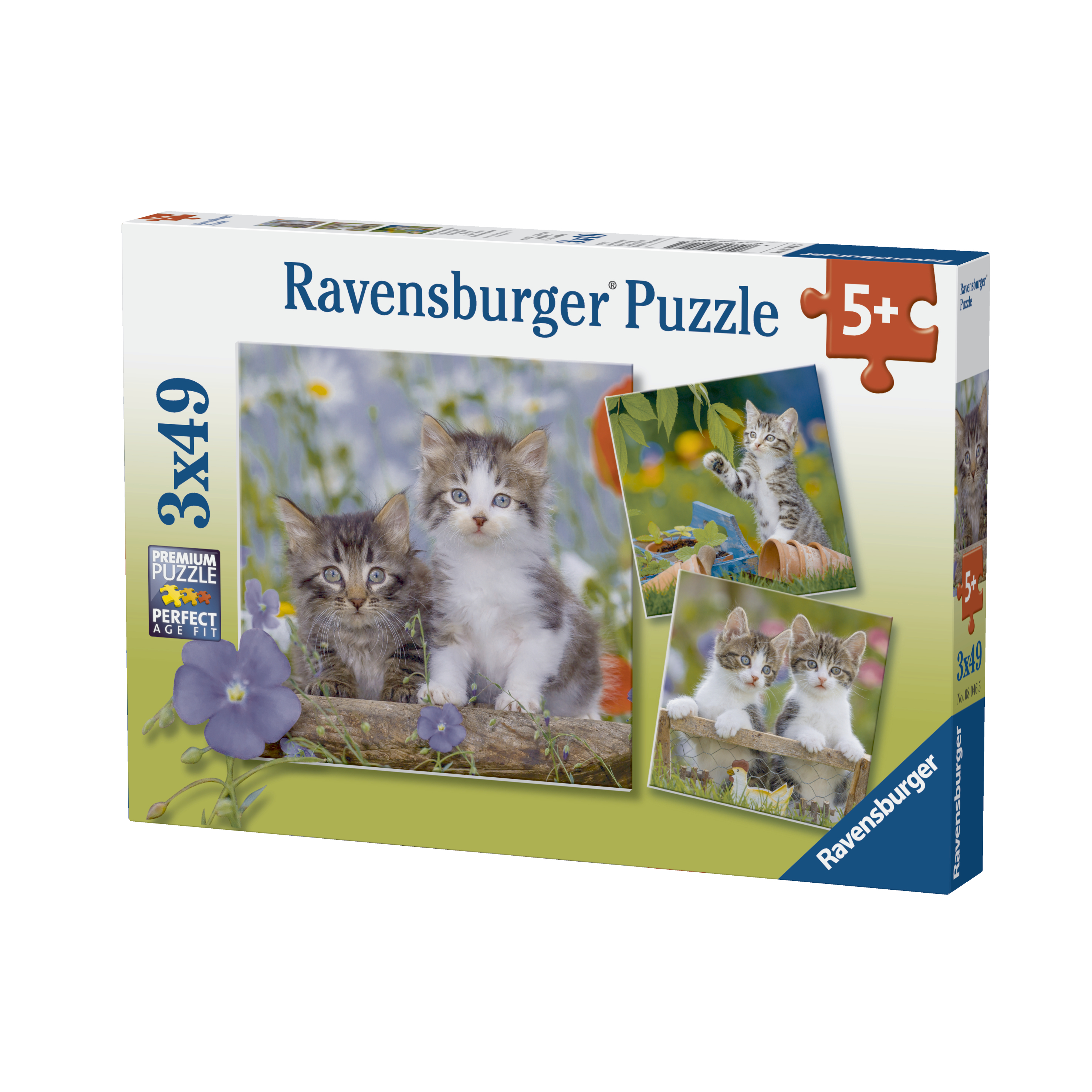 Puzzles 3x49 p - Chatons tigrés