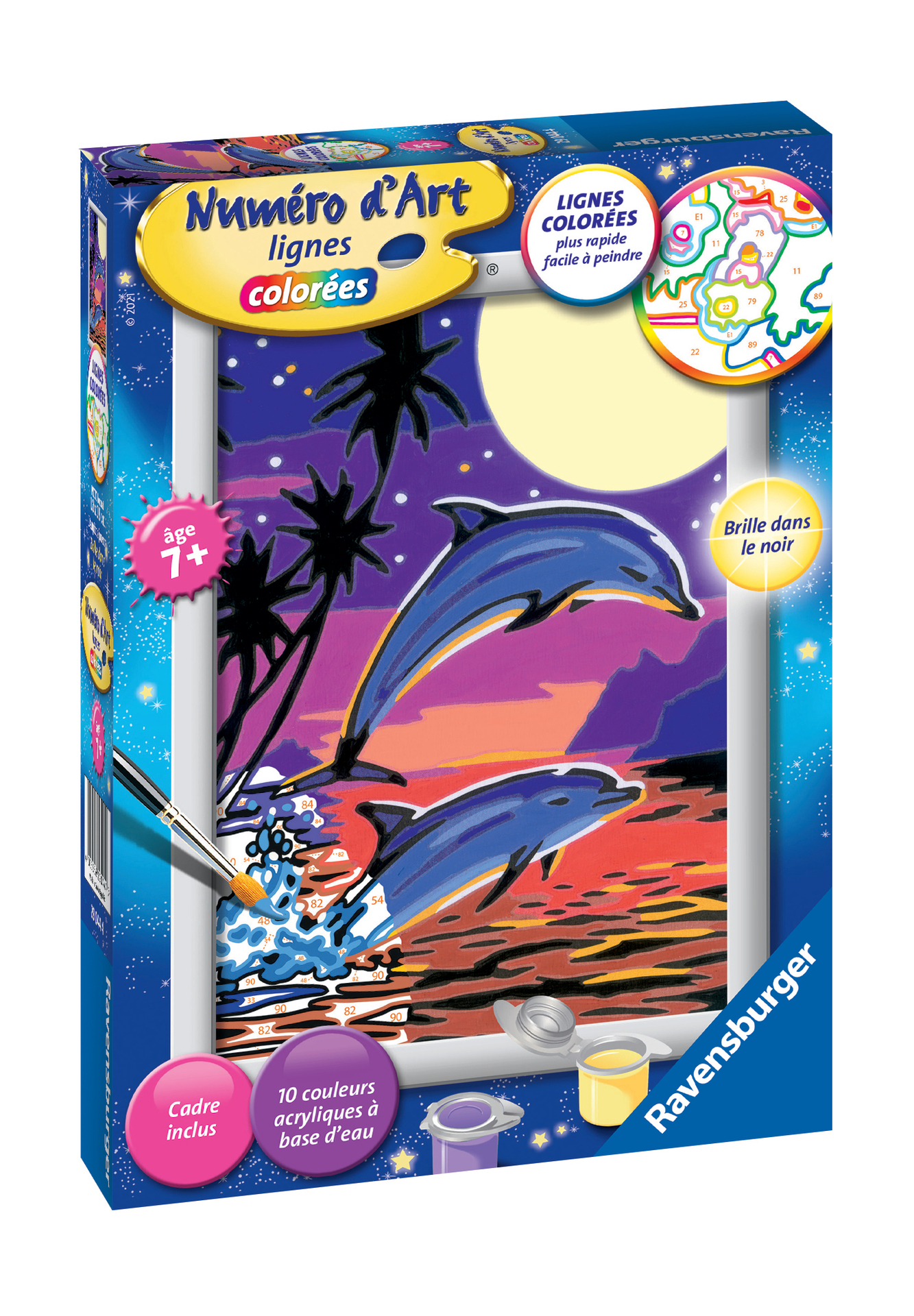 Numéro d'art - petit - Dauphins joueurs