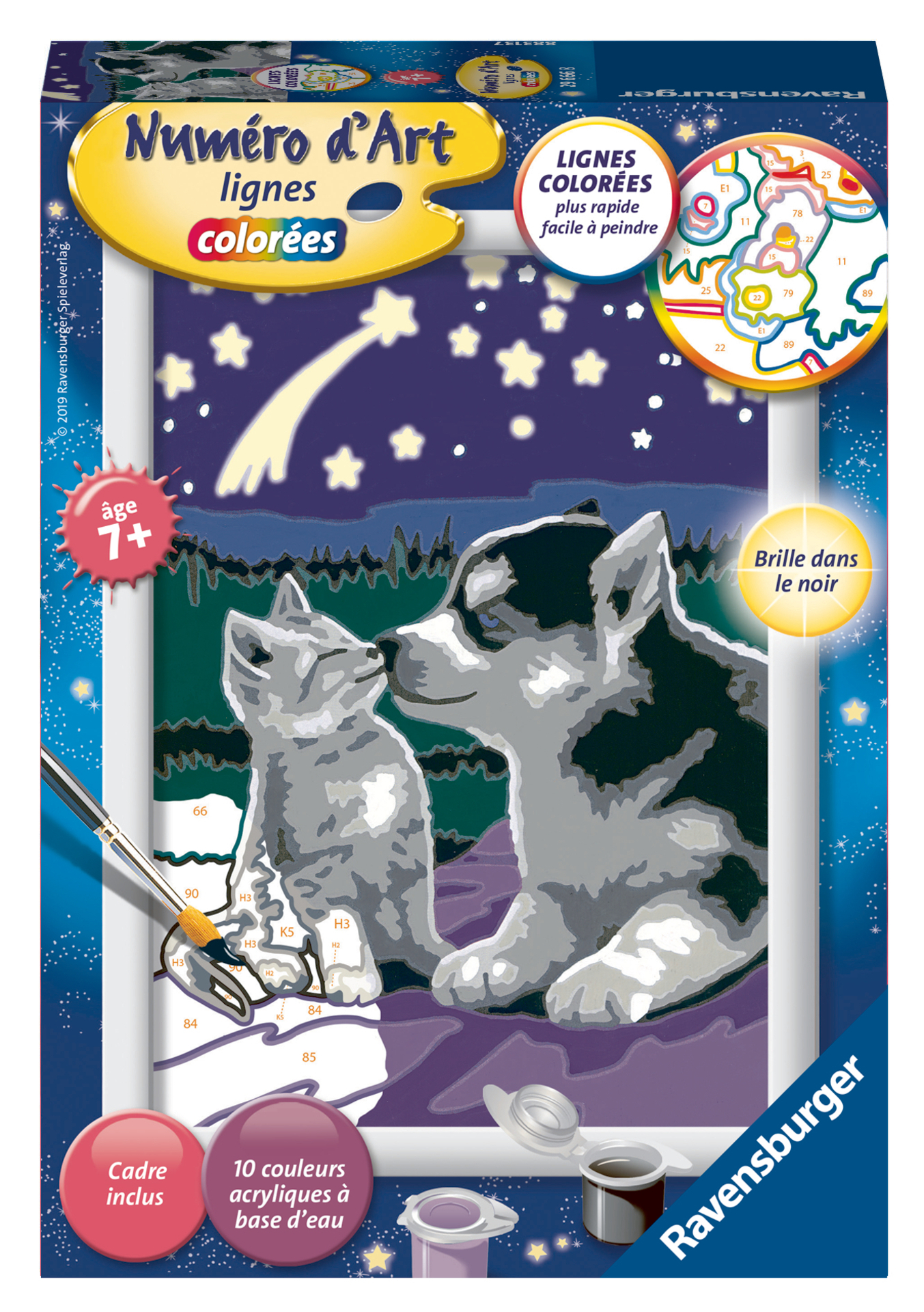 Numéro d'art - petit - Chiot Husky et son compagnon le chaton