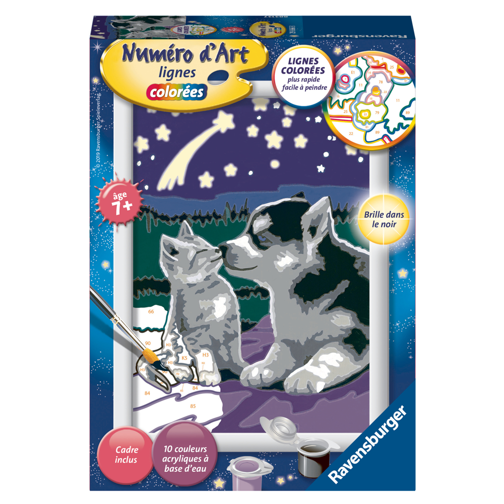 Numéro d'art - petit - Chiot Husky et son compagnon le chaton