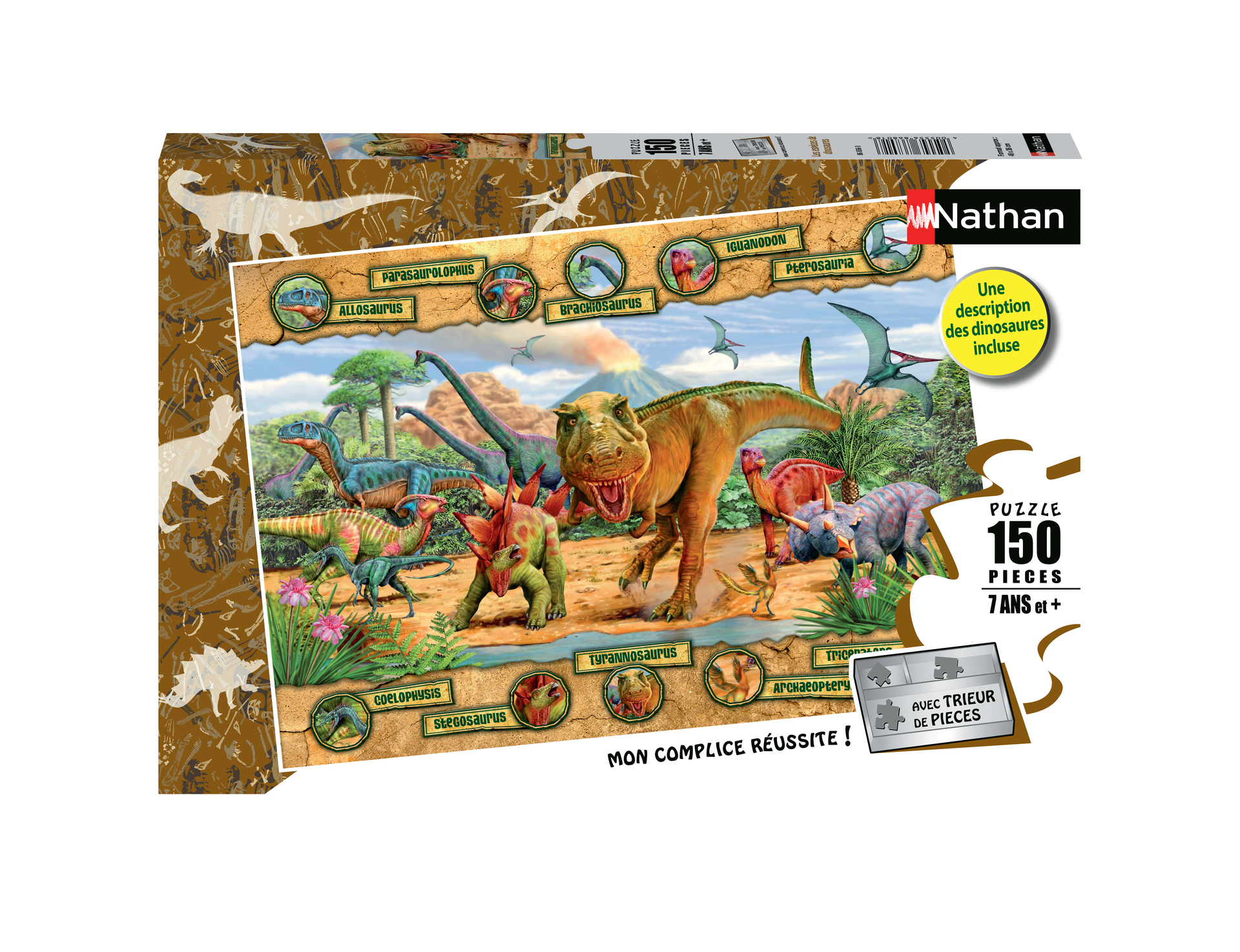 Puzzle 150 p - Les espèces de dinosaures