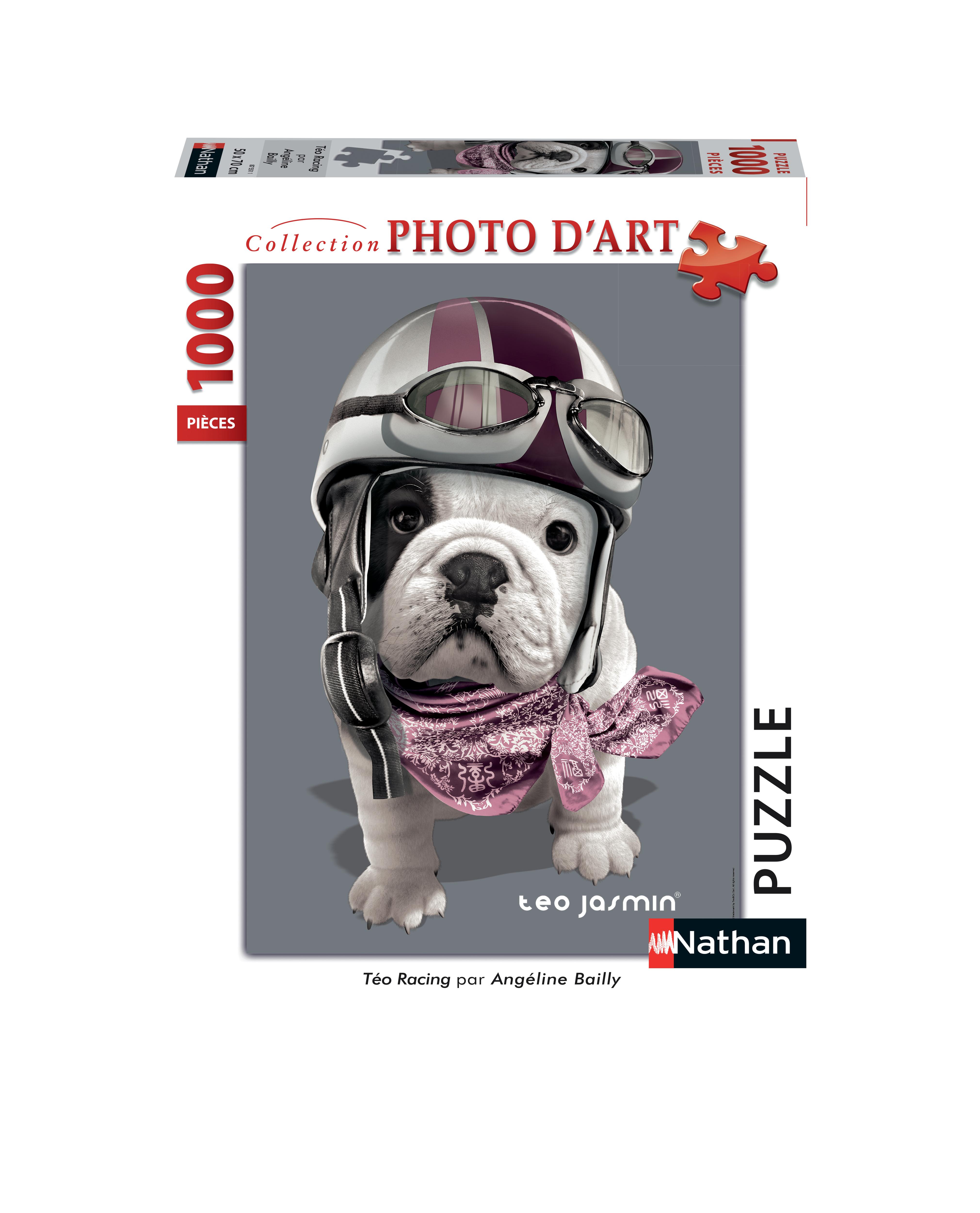 Puzzle N 1000 p - Téo Racing / Téo Jasmin