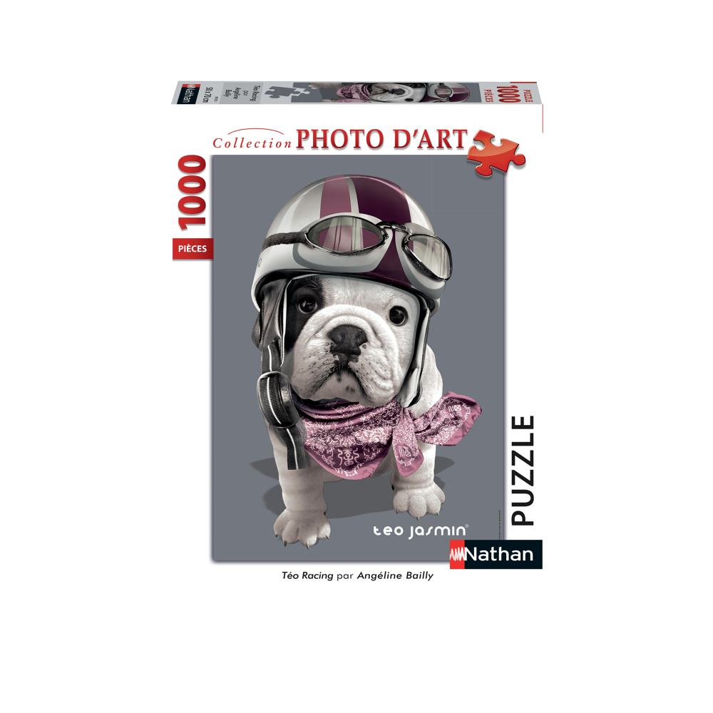 Puzzle N 1000 p - Téo Racing / Téo Jasmin